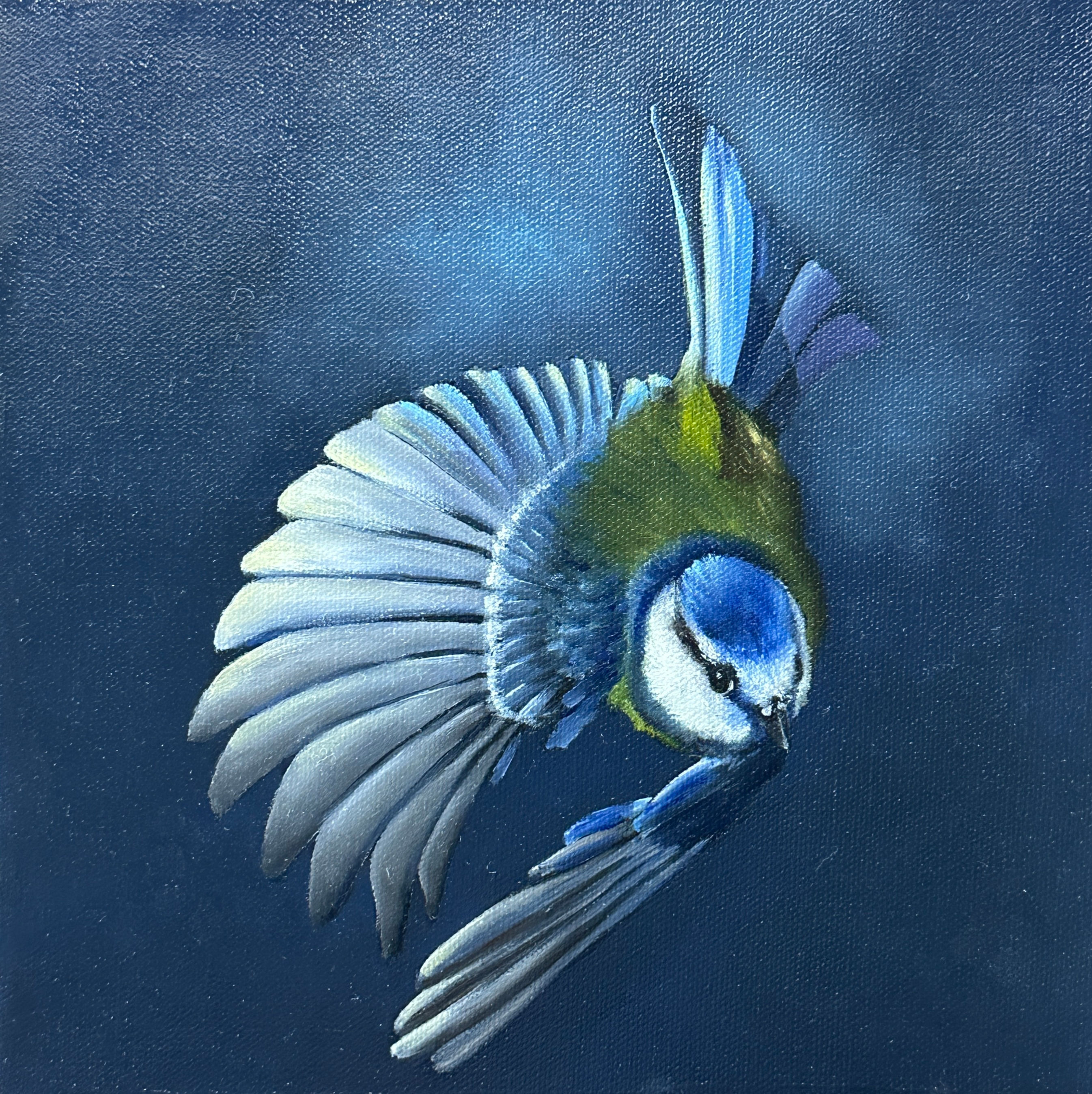 Study in Blue III