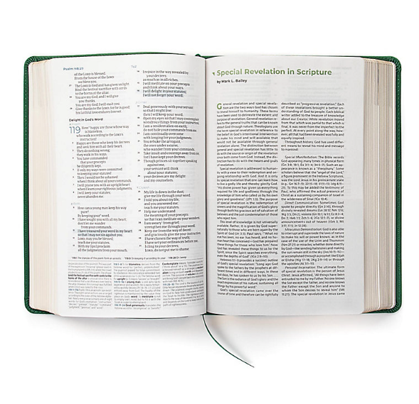 Thumbnail: CSB STUDENT STUDY BIBLE