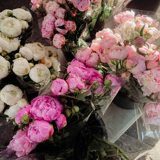 stock photo of white and pink peonies at a farmers market