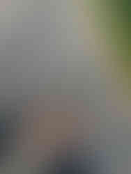 photo of a girl riding a bike