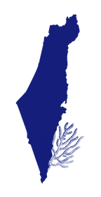 Outline of Israel with a coral