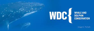 Whale and Dolphin Conservancy