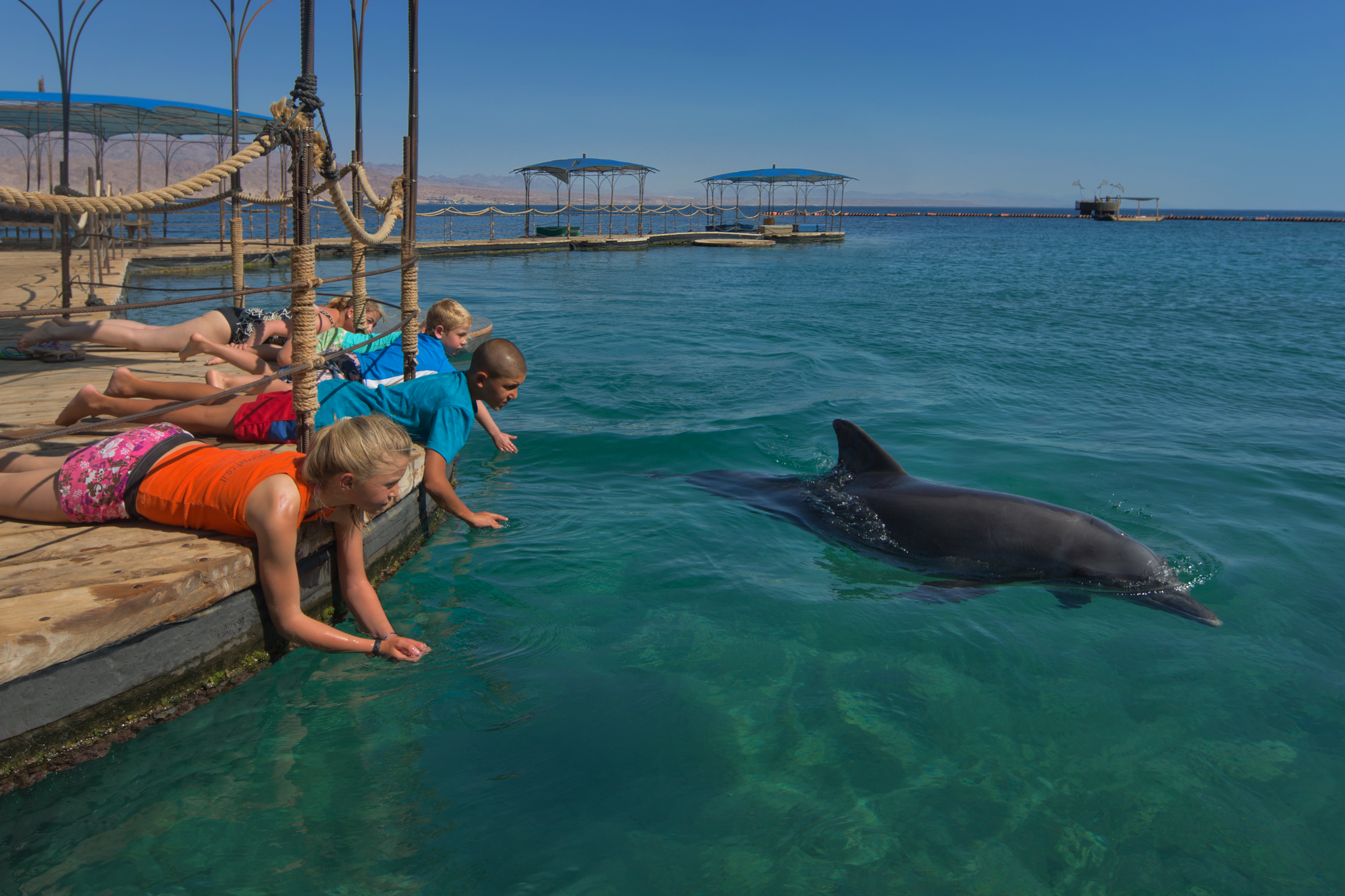 Dolphin Reef Eilat