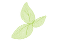 葉っぱ.png