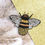 Thumbnail: 'Busy Bee' Broche