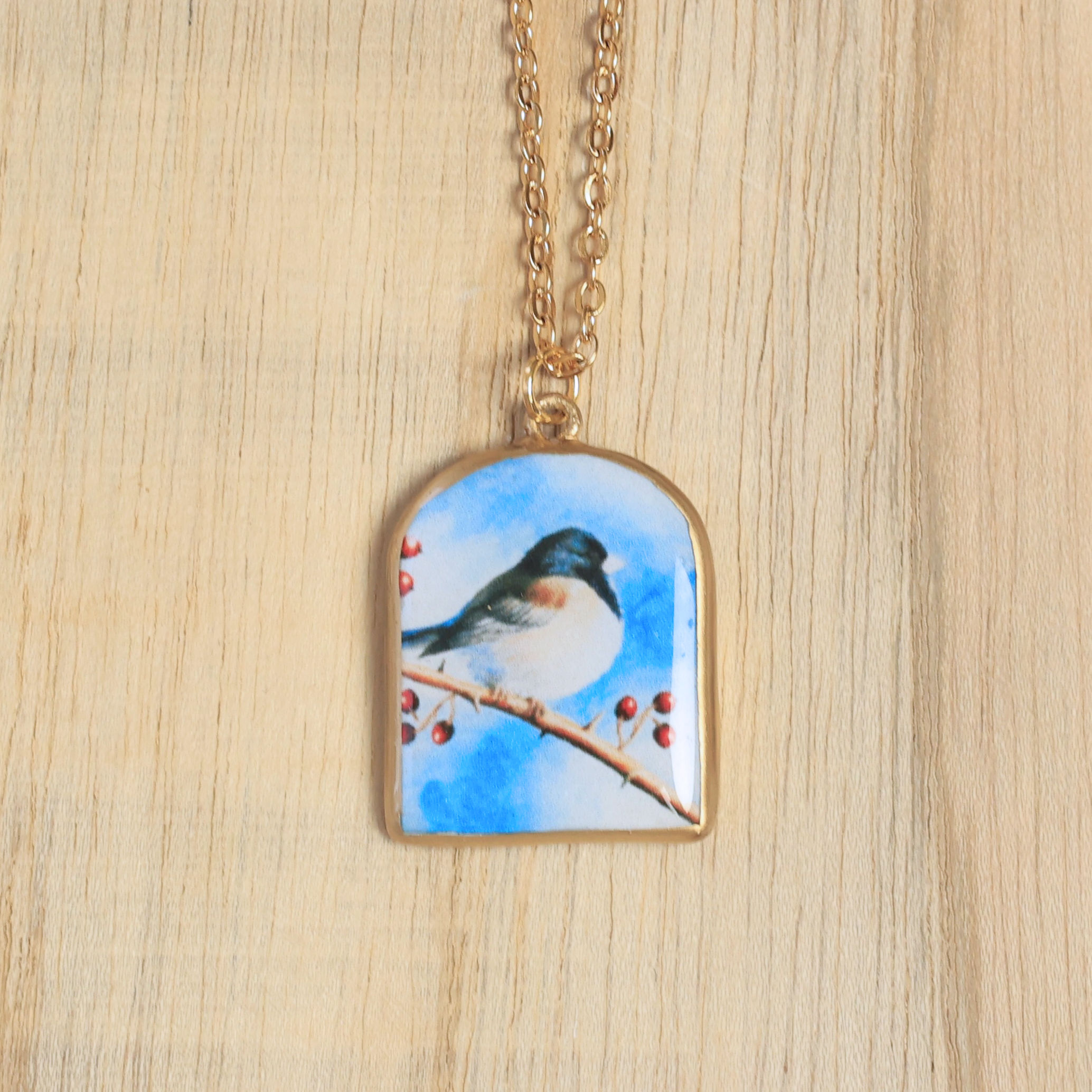 The Birdsong Collection - Dark- eyed Junco