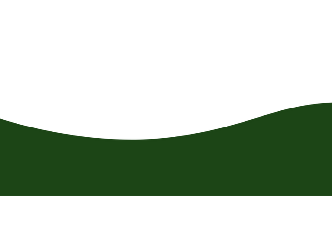 website afbeeldingen (16).png