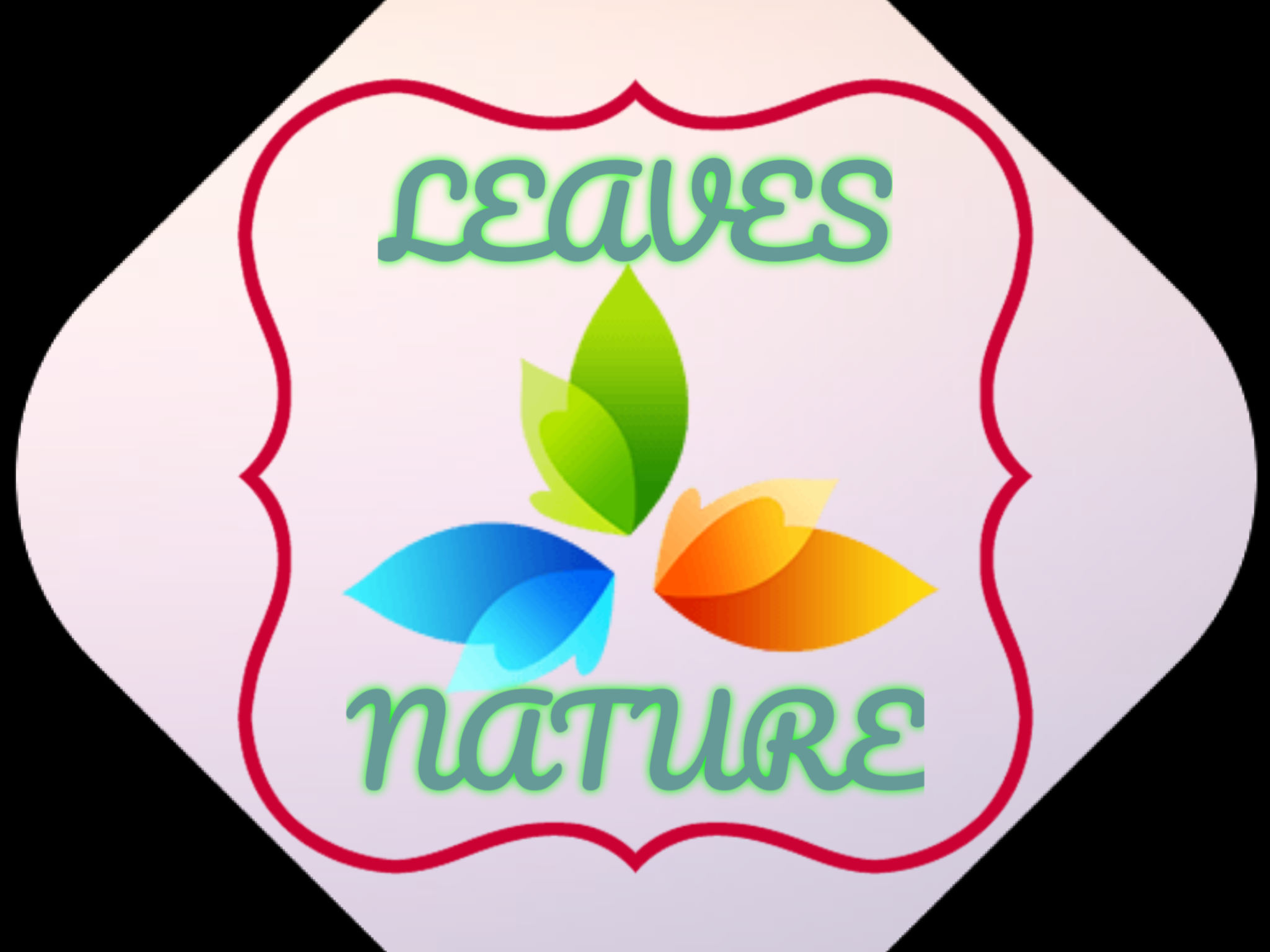 Foto del escritor: Plantas de ornato  