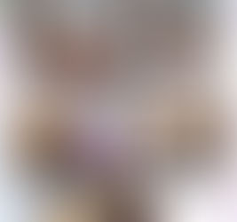 今月の活動のご報告