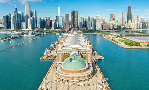 The Chicago Skyline and Navy Pier, easily accessible from The Den off Eastlake by public transit. 