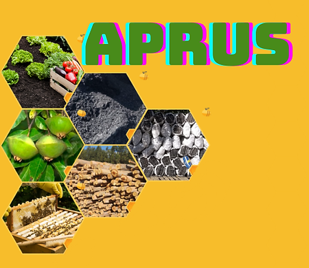 Logotipo Faustino Turismo Rural Circular Verde Creme (2).png