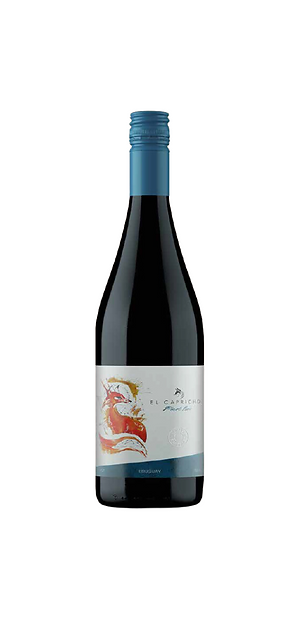 Vino Cabernet Franc - Bodega Durigutti