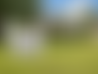 Cost to Add a Bedroom or Home Addition in South Louisiana (2025 Guide)