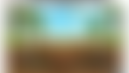 Floors Buckling or Cupping in Summer — Why It Happens