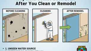 Why Mold Comes Back Even After You Clean or Remodel