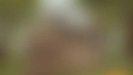 Why Caulk and Paint Fail Faster in Humid Climates