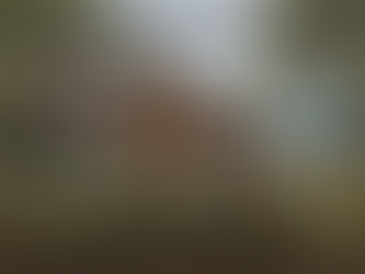 Why Raised Foundations Are Essential in Cajun Architecture