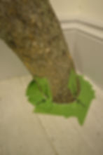 04 indoor tree, Lili Giacobino