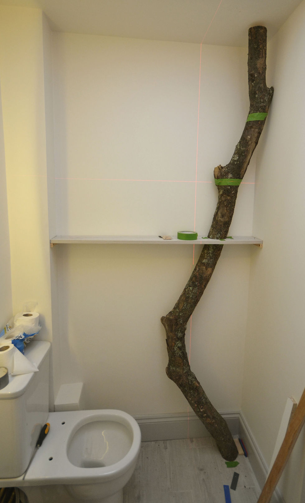 10 indoor tree, Lili Giacobino