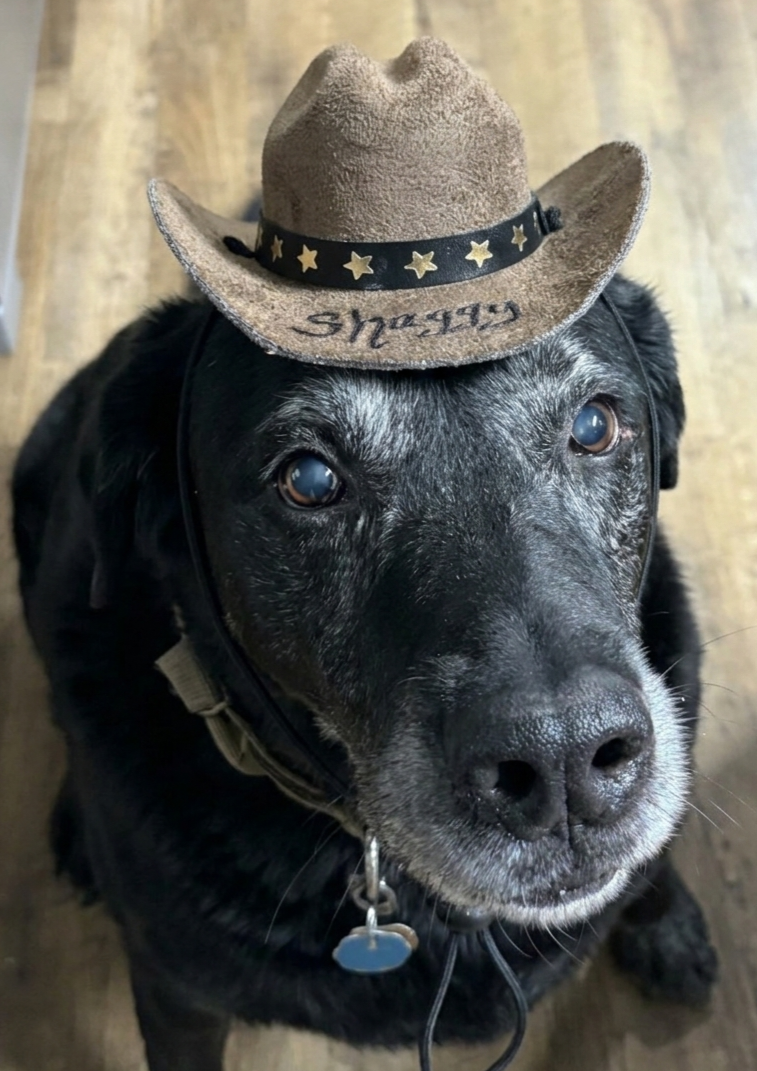 Personalized Cowboy Hat for your Pet