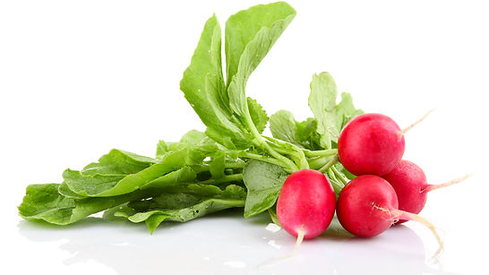 Radish