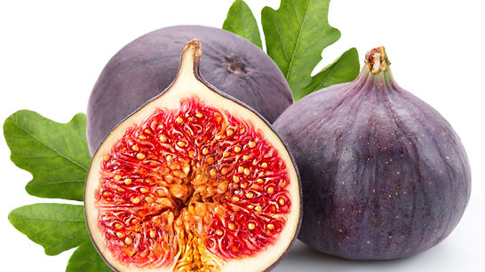 Fig