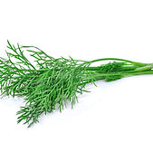 <ul class="font_8">
  <li><p class="font_8">Helps with digestion as well as the digestive system. Helps relieve gas/flatulence.</p></li>
  <li><p class="font_8">Helps the liver with getting rid of toxins.</p></li>
  <li><p class="font_8">Contains antimicrobial properties</p></li>
  <li><p class="font_8">Can also help with insomnia</p></li>
</ul>