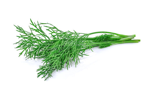 Dill