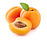Apricot