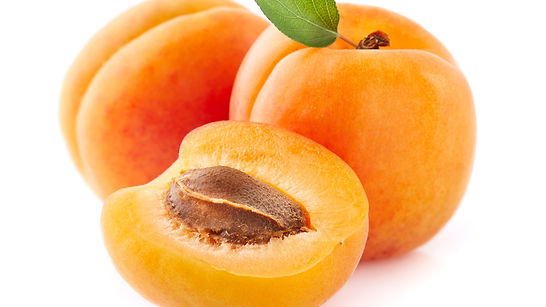 Apricot