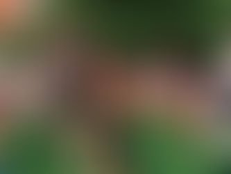 6 Ways Running and Strength Training Can Help You Lose Weight