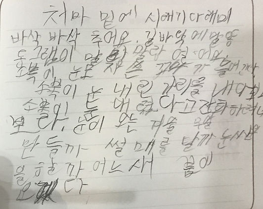 심한 악필