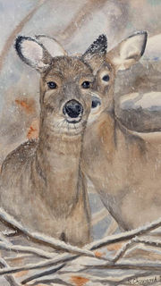 Aquarelle de cerfs dans une chute de neige