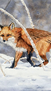 Une aquarelle de renard roux qui marche dans un paysage d'hiver avec des branchages givrés