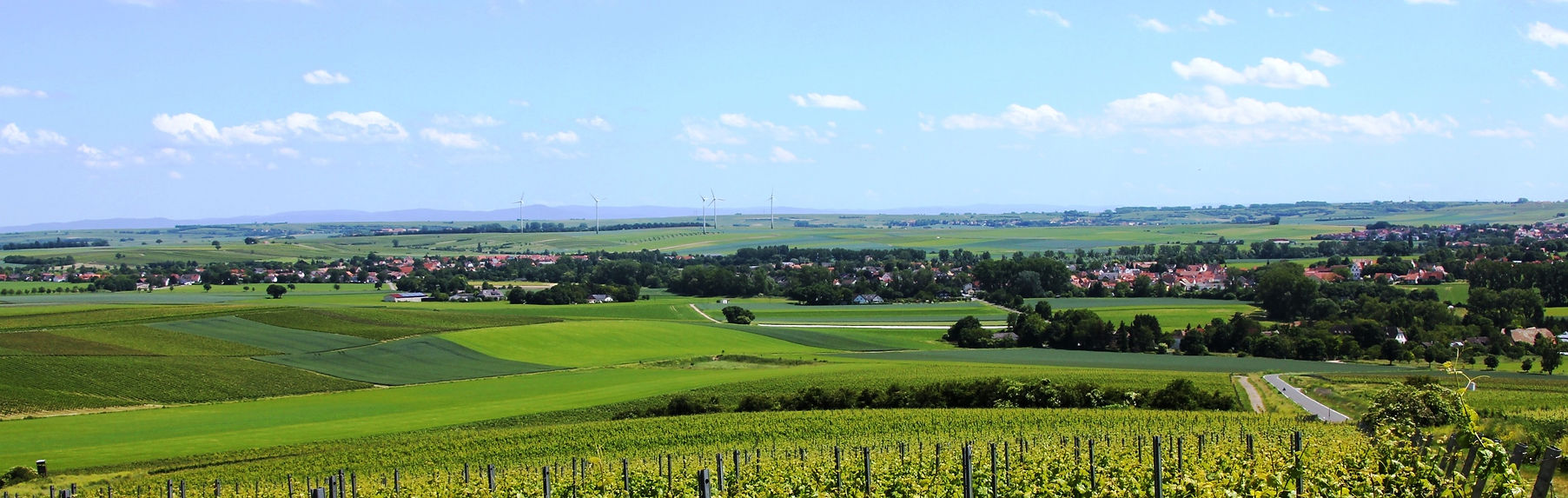 Hahnheim Panorama.jpg