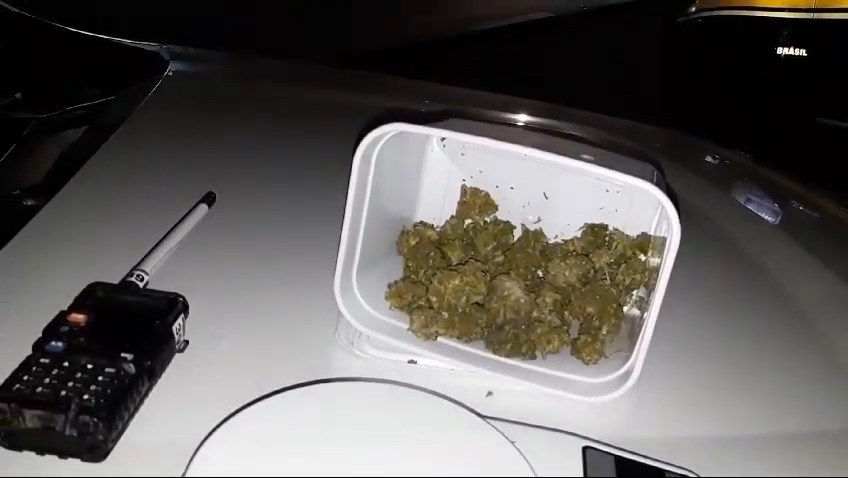 Polícia Rodoviária Federal apreende tipo raro de maconha em Vacaria