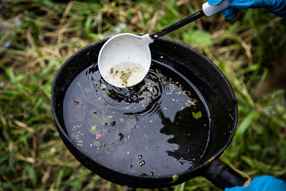 Prefeitura de Caxias reforça combate à dengue com fiscalização em terrenos baldios e pátios abertos