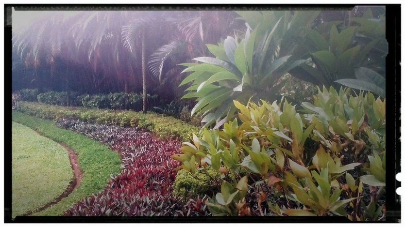 Path to Nature