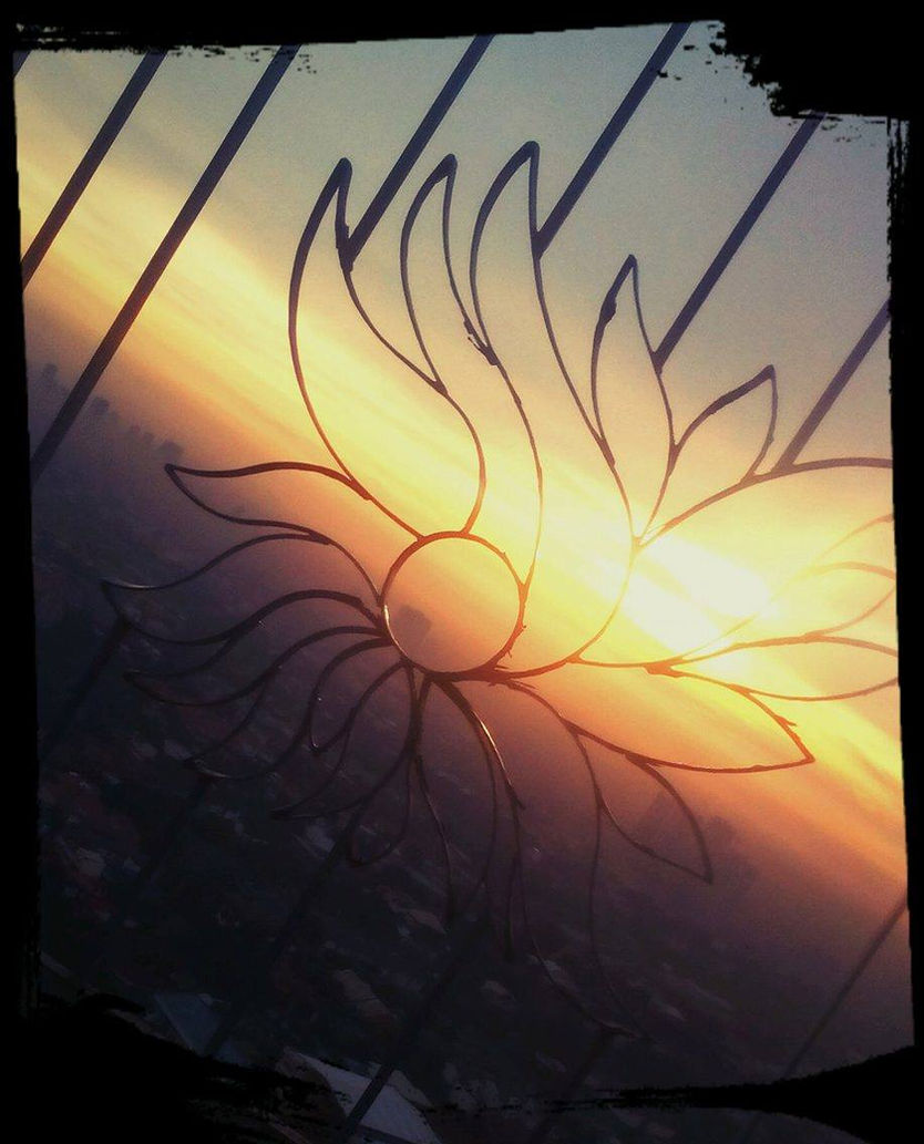 Sunset Flower