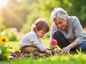 Understanding Lady Bird Deeds: No Doc Stamps and No Impact on Title Insurance