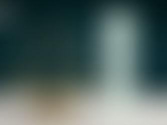 What is Needed to Bring a Probate Proceeding in Florida? A Step-by-Step Guide