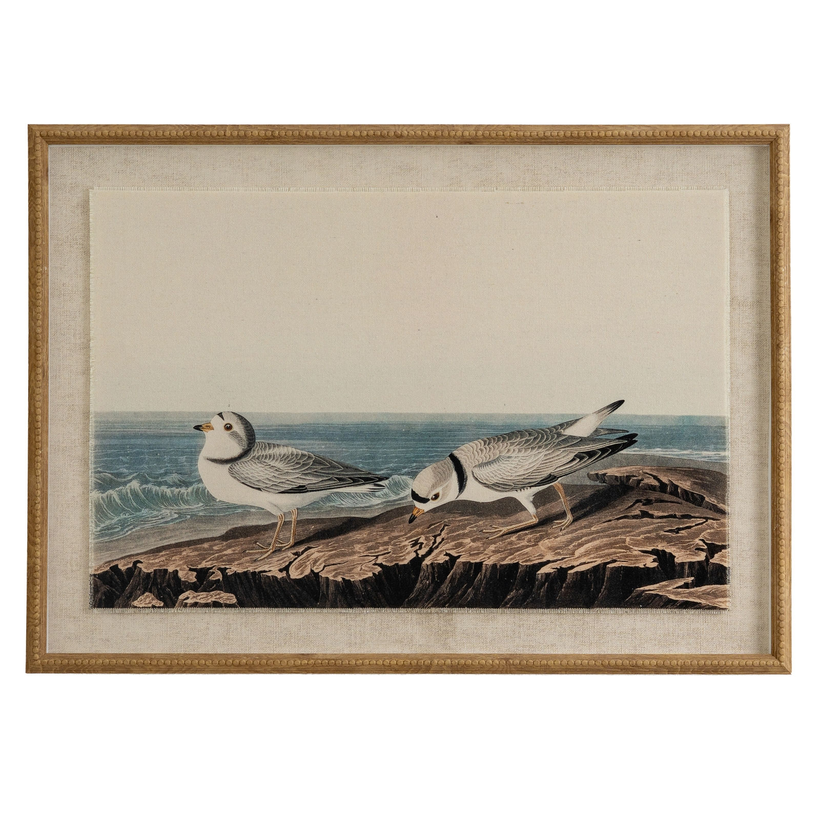 Flora & Fauna Collection Plovers On Linen In Beaded Frame