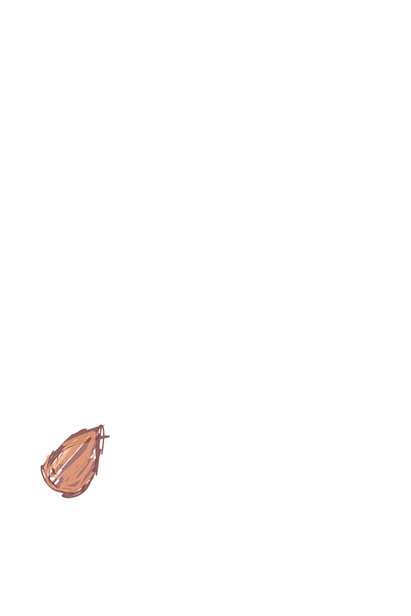 bug.gif