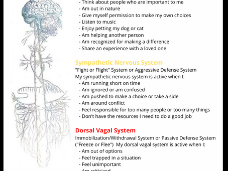 Befriending Our Autonomic Nervous System