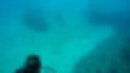 Samana-Tauchen-Urlaub-Las-Galeras