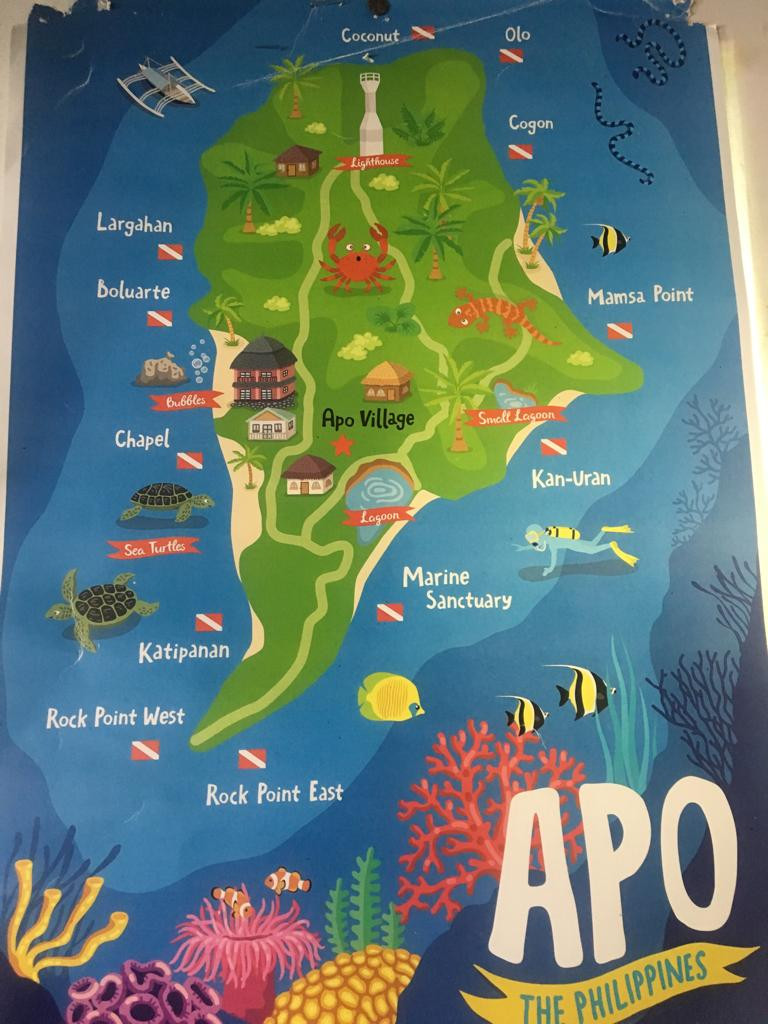 Apo-Island-Philippinen-Reisebericht-Tauchen