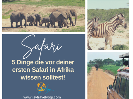 5 Dinge die du vor deiner ersten Safari in Afrika wissen solltest!