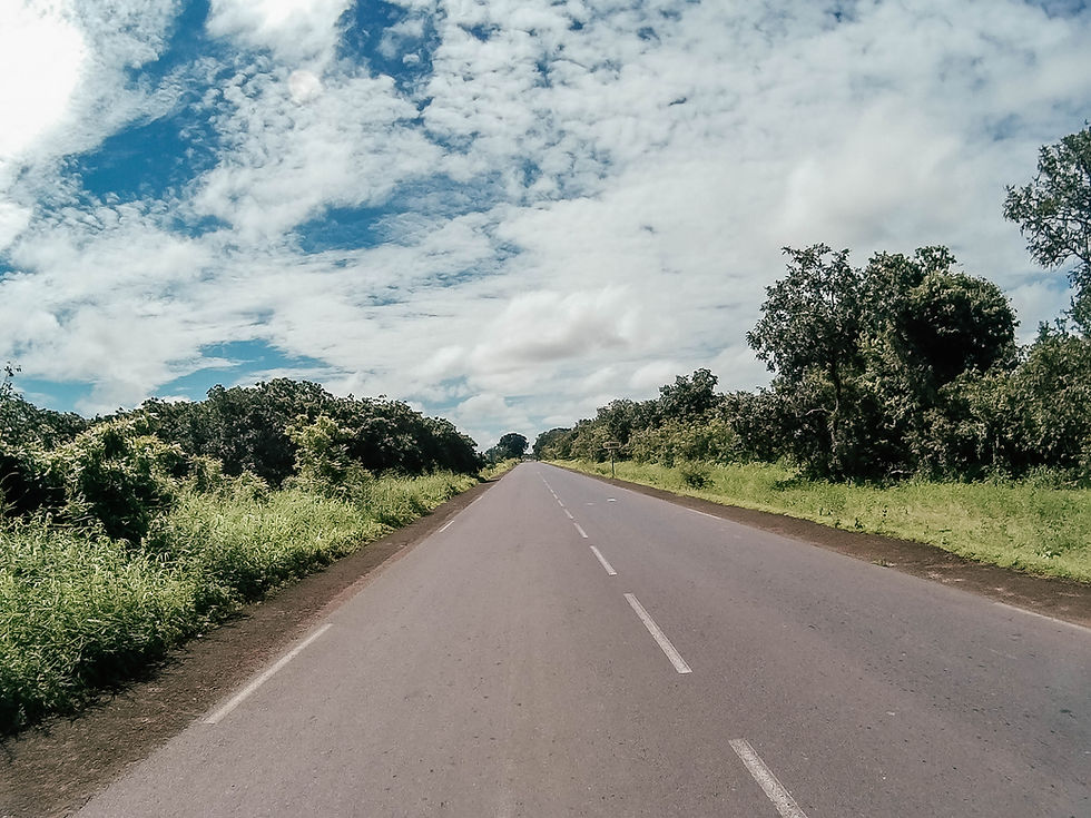 Senegal-Gambia-Urlaub-Safari-Reisebericht-Fathala-Reservat-Regenzeit