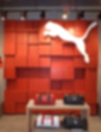 PUMA DL