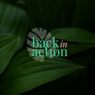 Back-in-action-logo.jpg